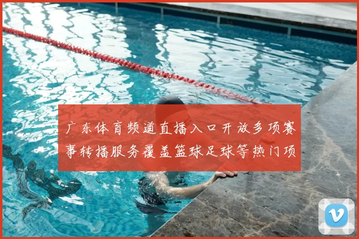 广东体育频道直播入口开放多项赛事转播服务覆盖篮球足球等热门项目