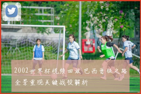 2002世界杯视频回放 巴西晋级之路全景重现关键战役解析