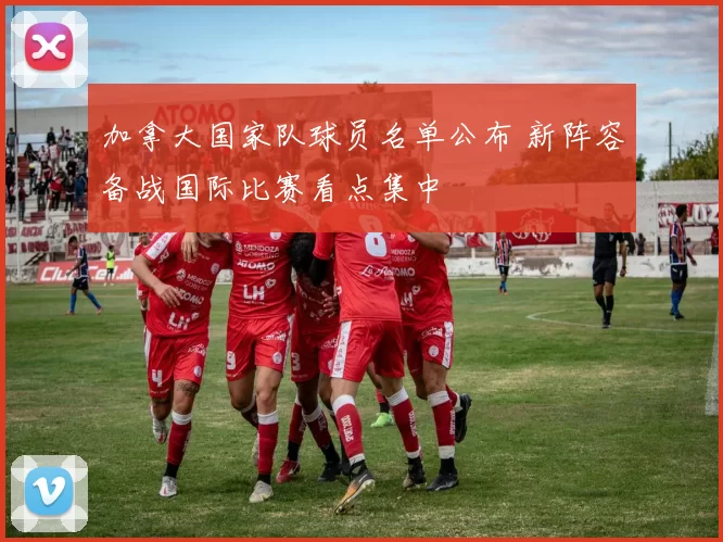 加拿大国家队球员名单公布 新阵容备战国际比赛看点集中