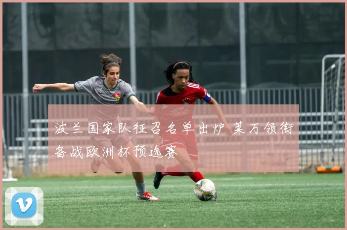 波兰国家队征召名单出炉 莱万领衔备战欧洲杯预选赛